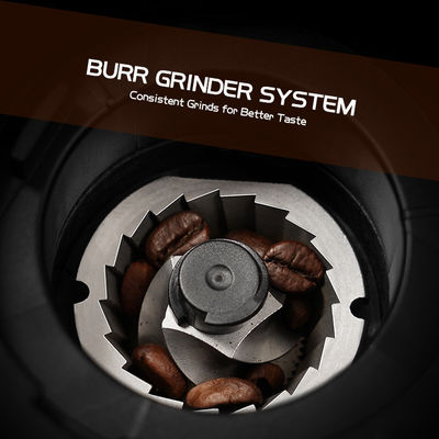 Kleiner konischer Burr Coffee Grinder Adjustable 19 Einstellungsespresso-Handelskaffeemaschinen